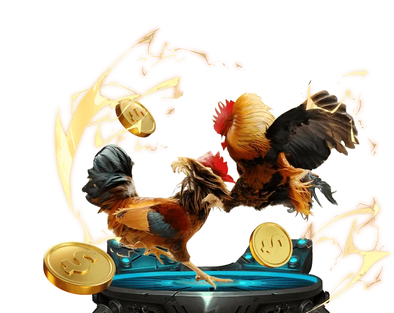 Dịch vụ khách hàng